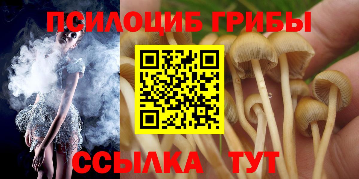 Псилоцибиновые грибы GOLDEN TEACHER Майкоп